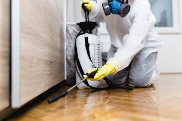 Best Pest Prevention Services  in Valhalla, NY