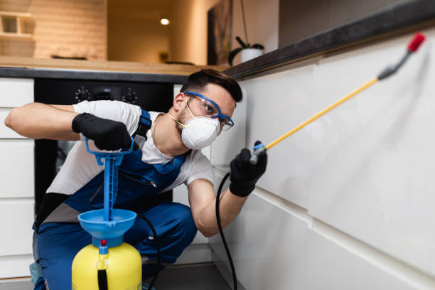 Best Mosquito Control Services  in Valhalla, NY