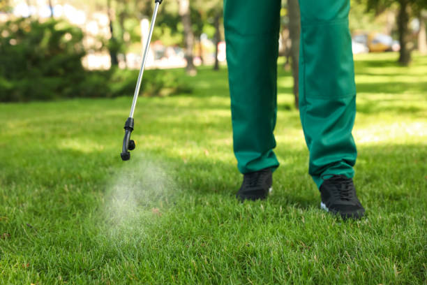 Best Ant Control Services  in Valhalla, NY