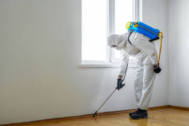 Best Residential Pest Control  in Valhalla, NY