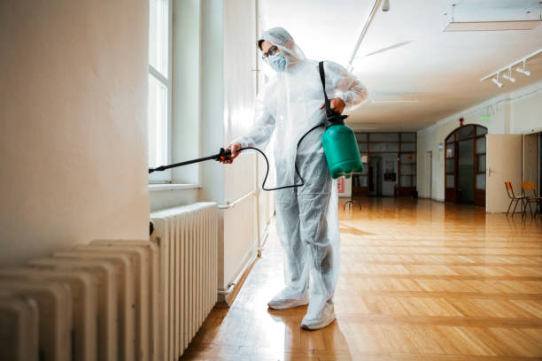 Best Flea Control Services  in Valhalla, NY